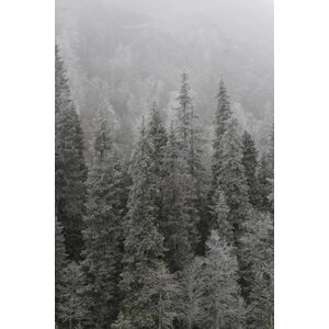 Rilla Tervonen Akustiikkataulu Tunturi 3