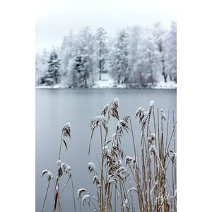 Rilla Tervonen Akustiikkataulu Lumihuntu