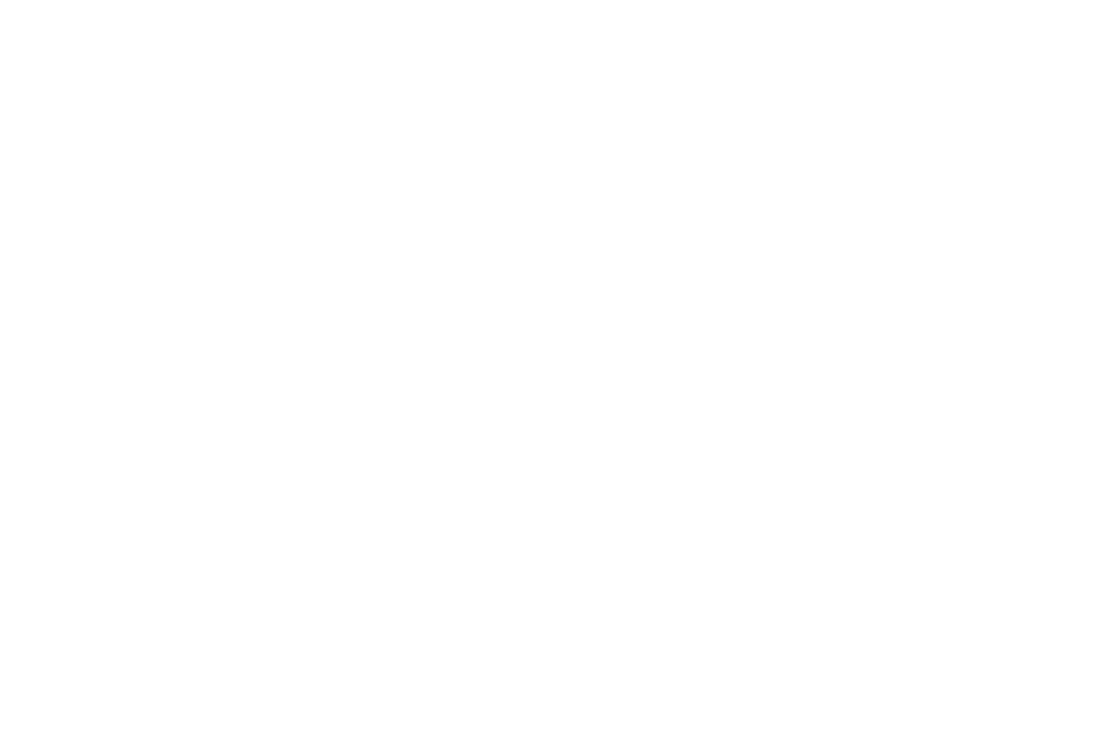 suo acoustics logo