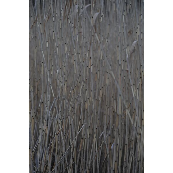 Saara Konttila Acoustic art panel Hay and reed 5